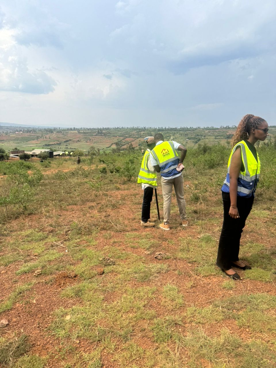 Open field survey